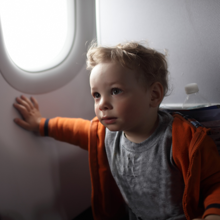 How to Fly With Toddlers and Young Kids: 7 Tips for Success – LM Chamber